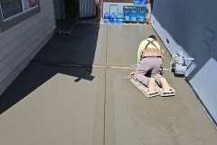 17-Mar-01-2024-08_33pm-mSCs