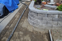 5-Mar-01-2024-07_30pm-3xoG